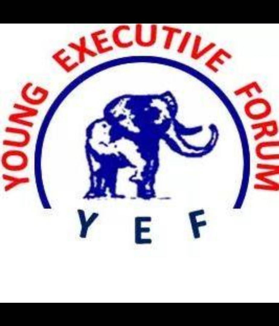 YEF-logo.jpg