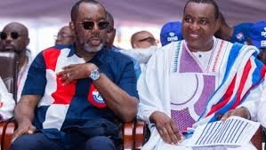 Bawumia NAPO