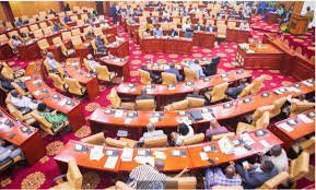NPP Caucus